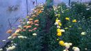 WP_20141024_002