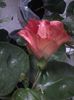 20141026_084507