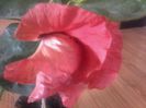 20141026_130229