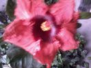20141026_161858