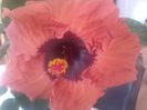 20141027_100246