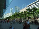 DSCF8453