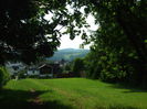 DSCF7945