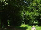 DSCF7950