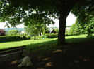 DSCF7954