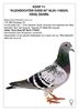 NL 03-1100245 F