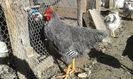 20141027_143432