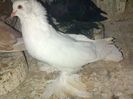 IMG-20141026-01113