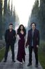tvd