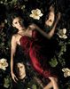 tvd