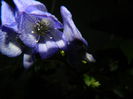DSCN2003