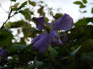 DSCN2012