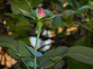 DSCN2023