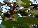 DSCN2024