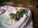 DSCN0056