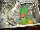 DSCN0058