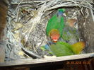 DSCN0059