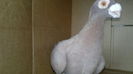 2014-10-27-4674