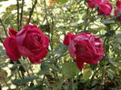 DSC00506