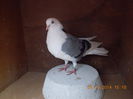DSCN5060