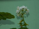 DSCN2068
