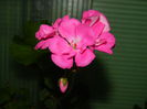 DSCN2078