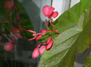 DSCN2103