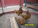 SAM_0502