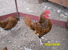 SAM_0504