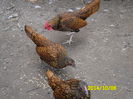 SAM_0506