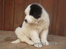 SAM_5240