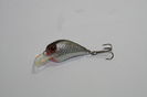 3653 - 2.5cm 2.5g