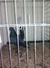 IMG_20141019_103814
