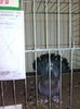 IMG_20141019_103831