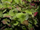 DSCN2156