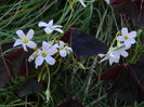 DSCN0251