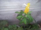 20140729_190134