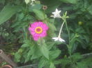 20140729_190419