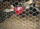 DSCN4144
