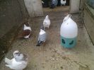Imag 011923