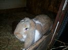20141031_065124