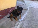 HERRA