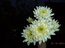 DSC01812