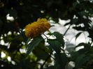 DSCN2234