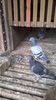 IMG-20141025-WA0002