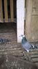 IMG-20141025-WA0003
