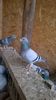 IMG-20141025-WA0006