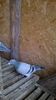 IMG-20141025-WA0007
