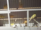 20140812_205719