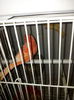 20141001_100028